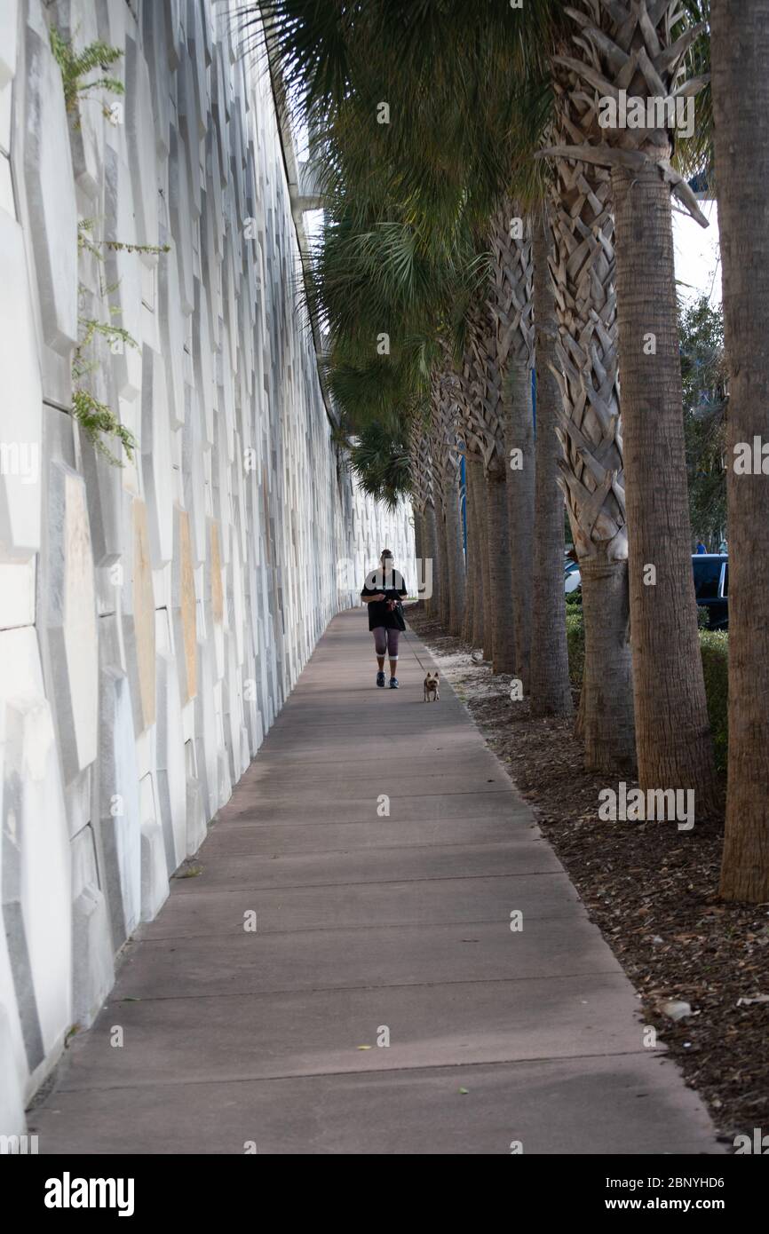 Woman walks down tree hi-res stock photography and images - Alamy