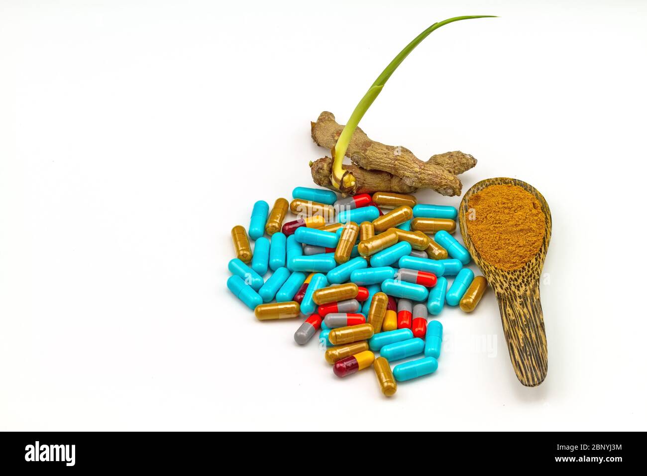 fresh Zingiber cassumunar Roxb (Zingiberaceae, Zingiber cassumunar Roxb