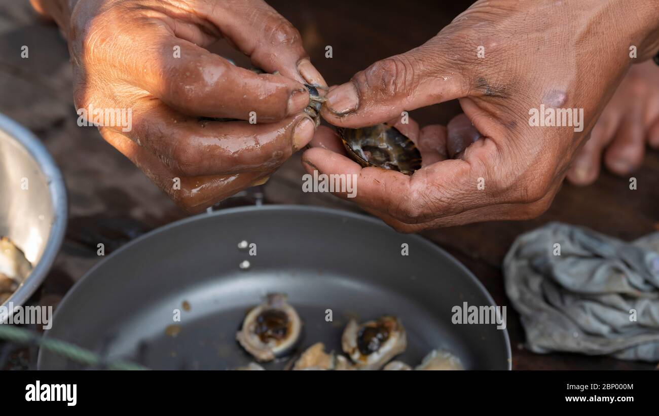 Cooking fresh raw shell on boat Stock Photo - Alamy