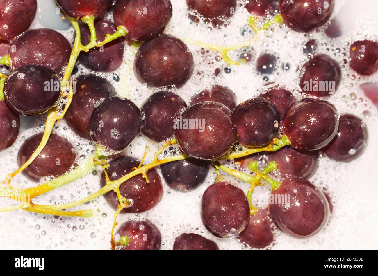 Soapy liquid hi-res stock photography and images - Alamy