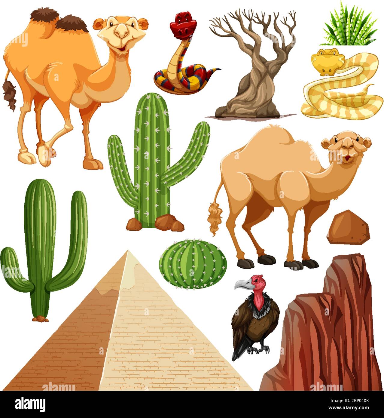 Set of cute desert animal and nature illustration Stock Vector Image & Art  - Alamy