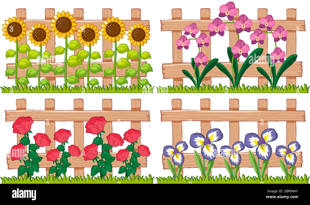 Different types of flowers in the garden illustration Stock Vector