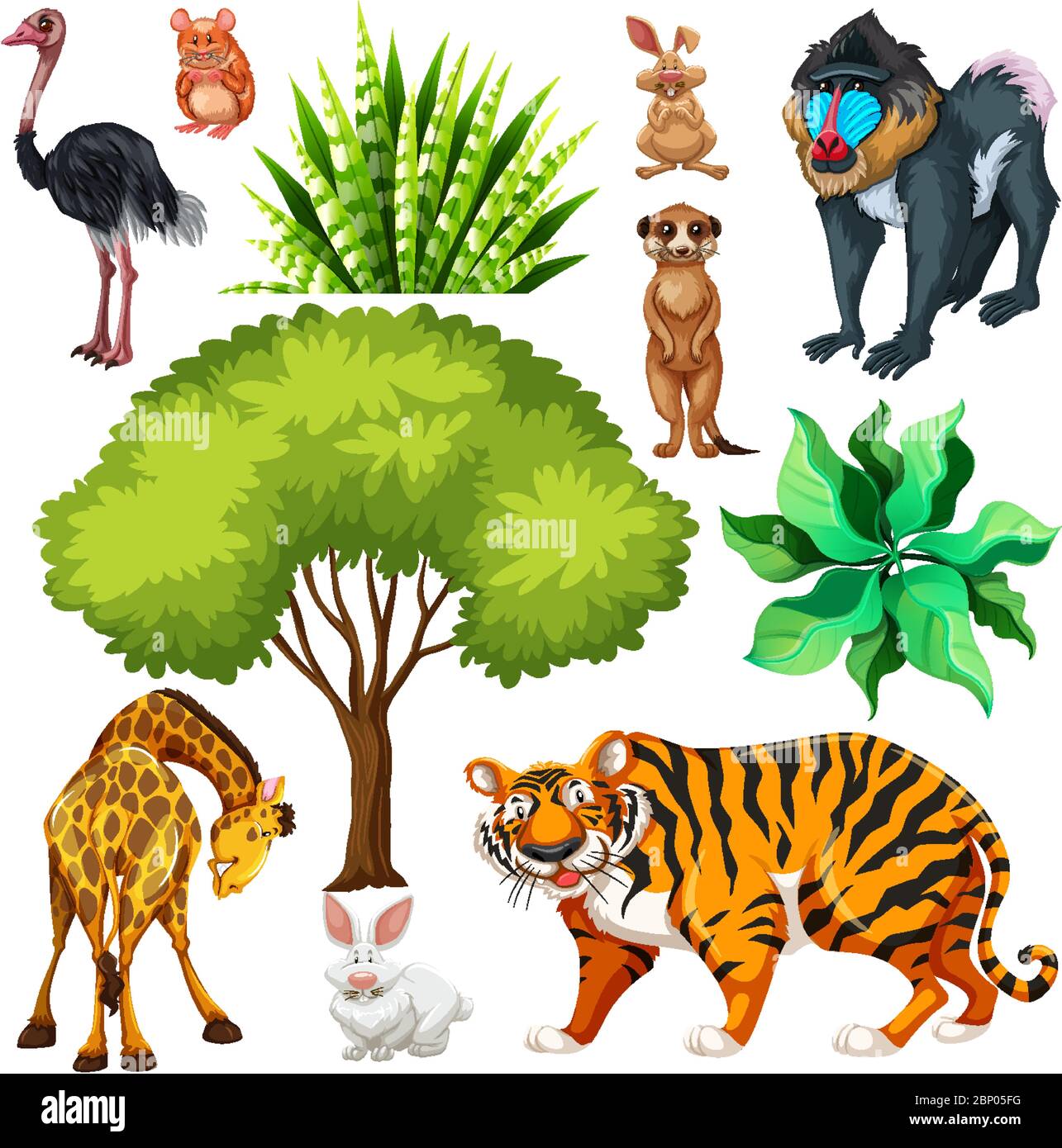 Set of cute wild animal and nature illustration Stock Vector Image ...
