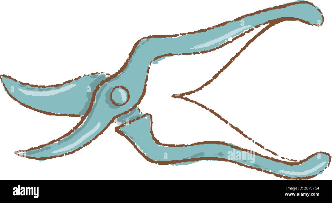 Professional garden pruner or scissors or secateurs isolated on white