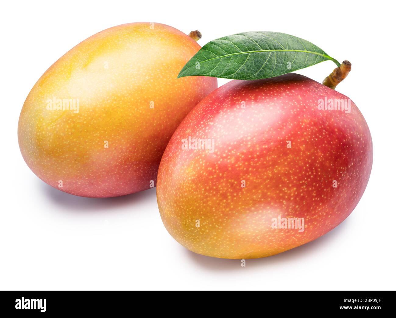 Mango fruits with mango leaf. Isolated on a white background. File contains clipping path. Stock Photo