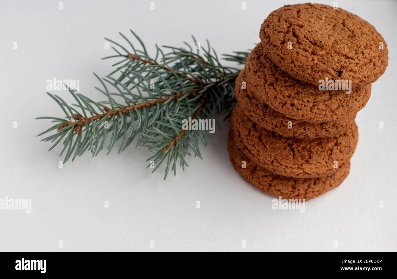 Natural oatmeal cookies and spruce twig isolated on a white background
