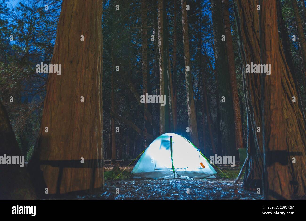 camping at night on full moon day in campground area in National park