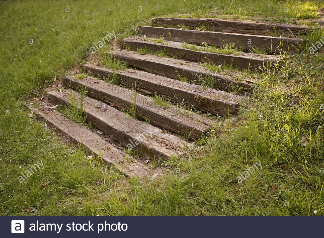 Abandoned Overgrown Concrete Stairs Sunk In The Grass In The Forest Stock Photo Alamy