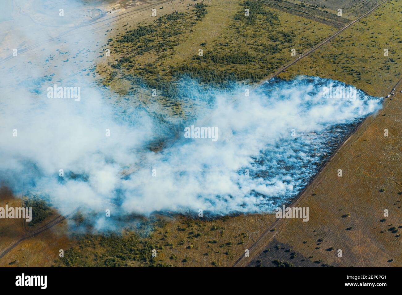 Aerial view of controlled bushfire or fire in forest among green fields, drone shot from above. Stock Photo