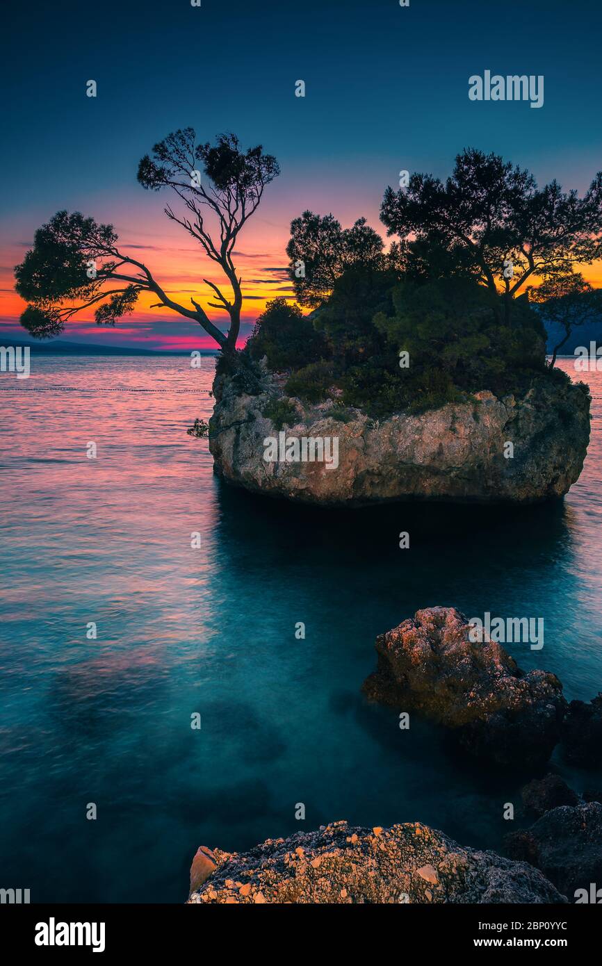 Cute small island with pine trees in the clean bay. Great spectacular ...