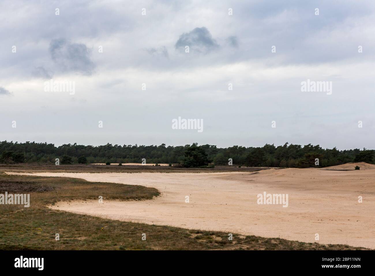 Otterlose Zand, extensive heathland in De Hoge Veluwe National Park, Gelderland, Netherlands Stock Photo