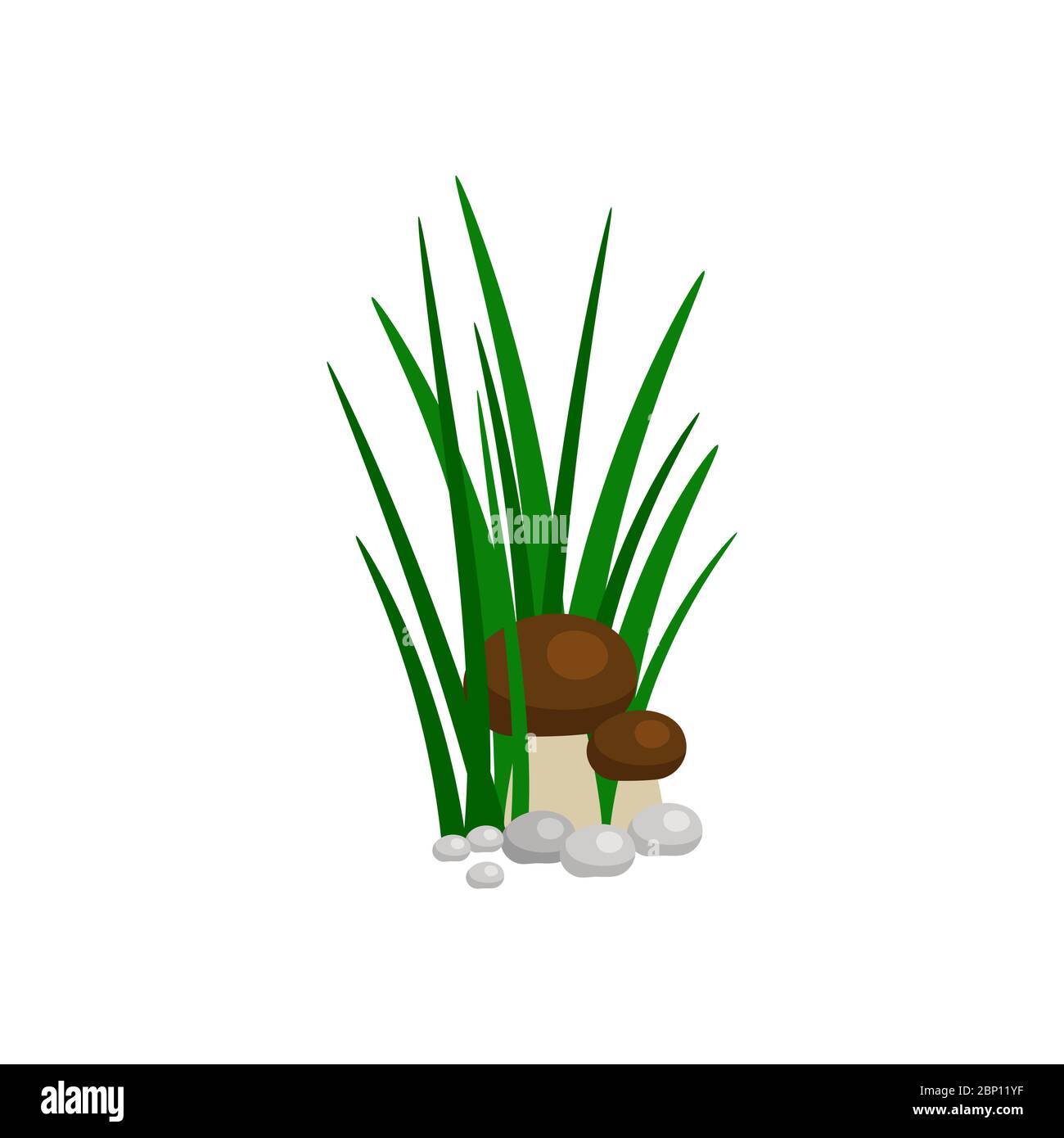 Bush of green grass with mushroom isolated on white background. Vector illustration Stock Vector