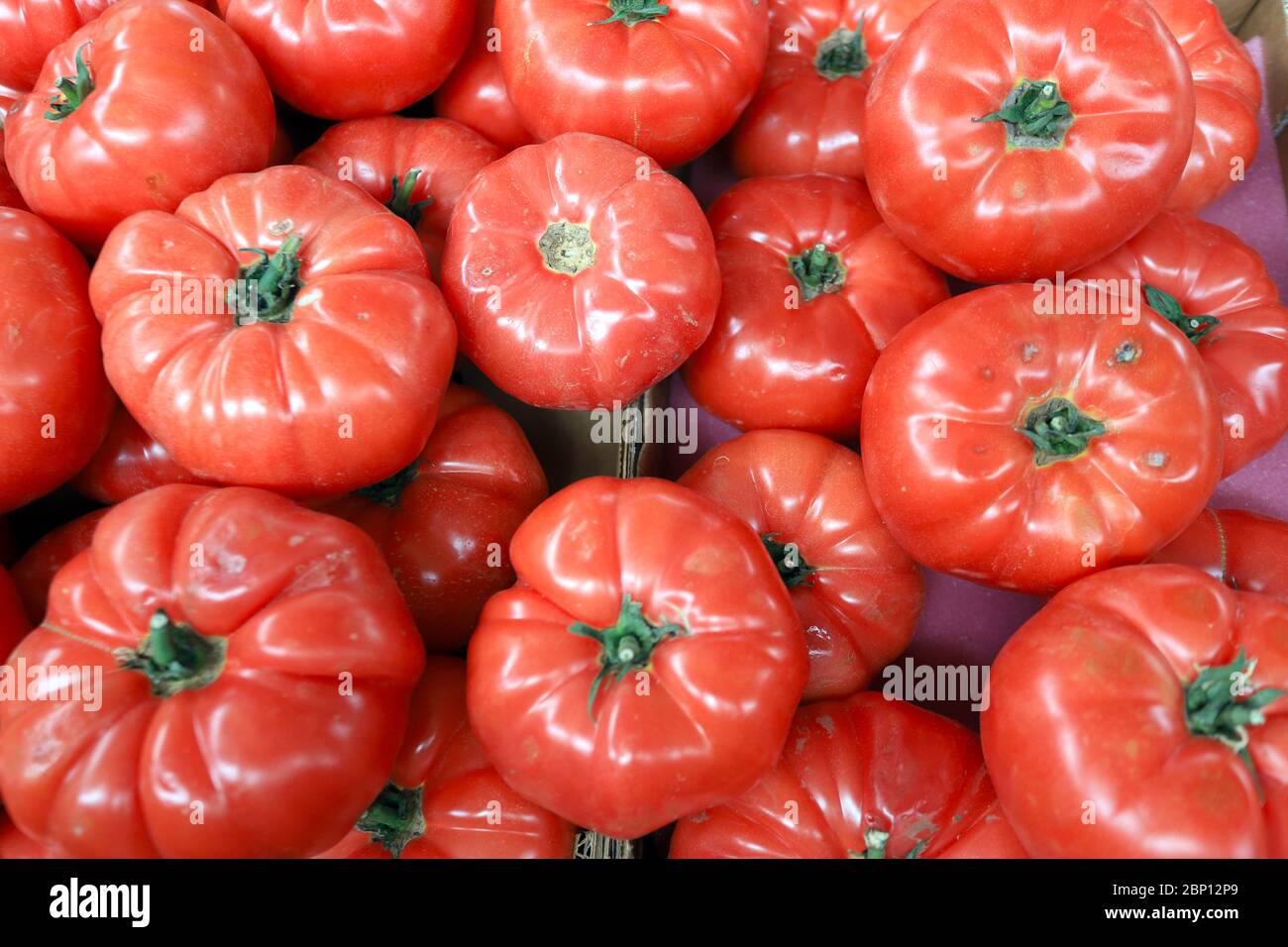Tomatoes pattern. Fresh organic tomatoes. Stock Photo