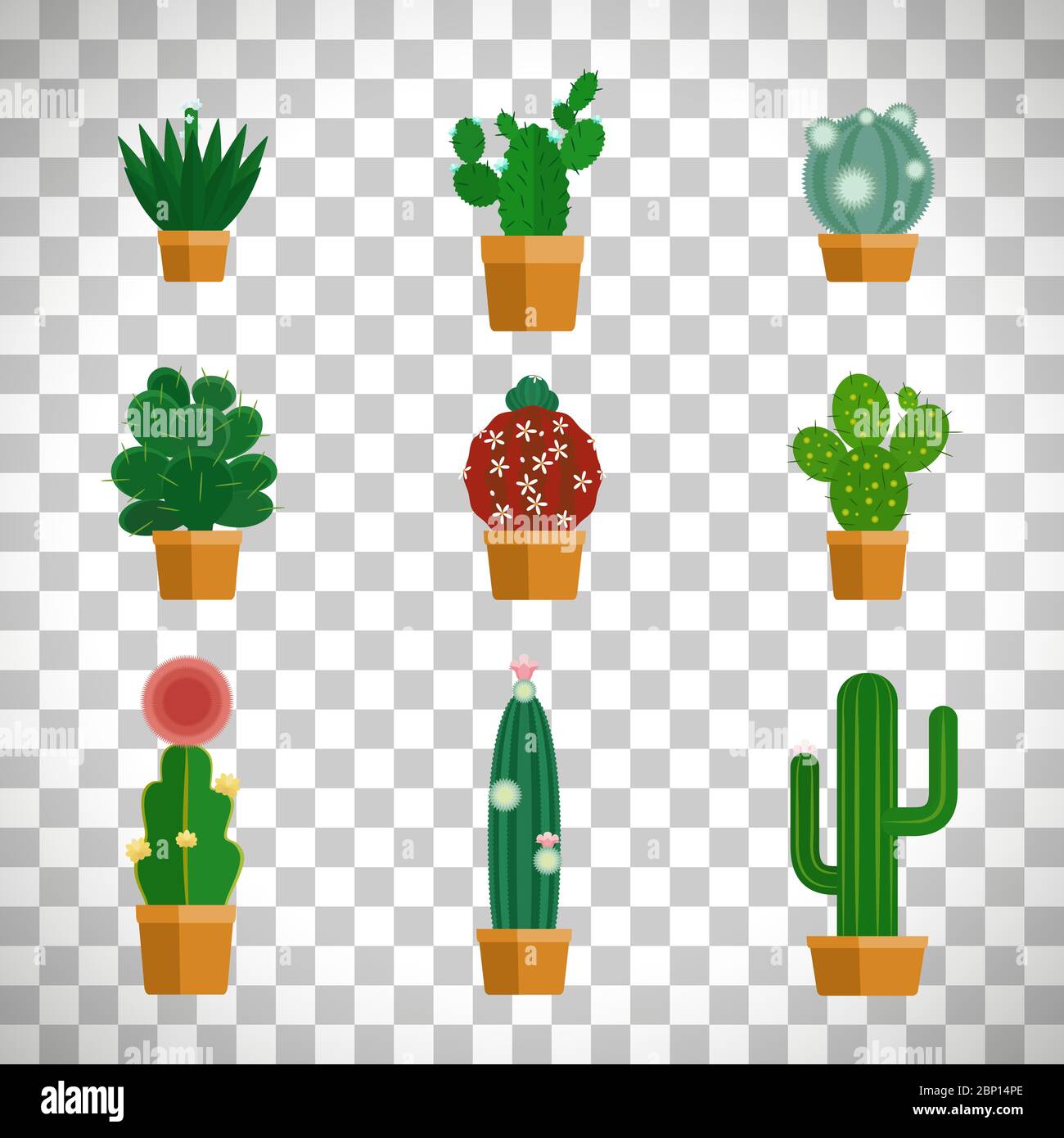 Cactus icons in flat style. Tropical flowers vector illustration isolated on transparent background Stock Vector