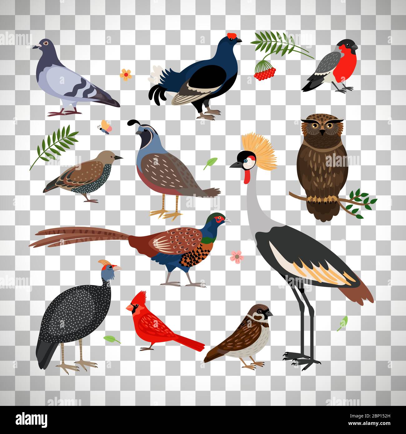 Vector bird icons. Owl and pheasant, bullfinch and crane isolated on transparent background Stock Vector