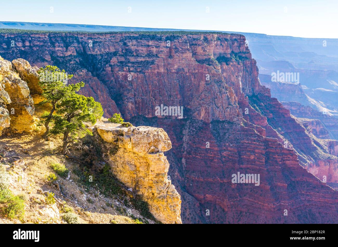 Grand canyon on sunny day,Arizona,usa. Stock Photo