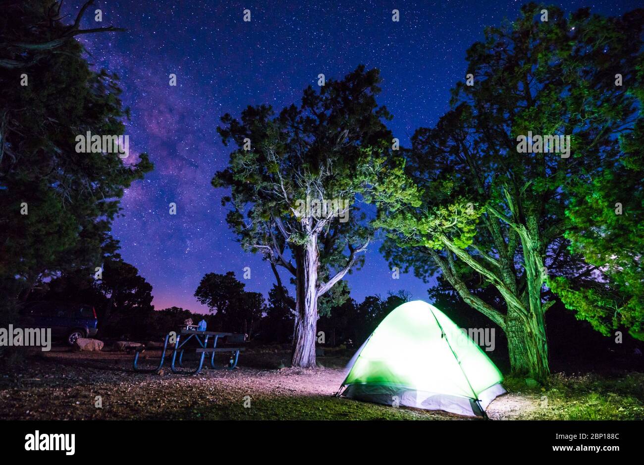 Page 3 Outdoor Camping Forest Night Illuminated High Resolution Stock Photography And Images Alamy