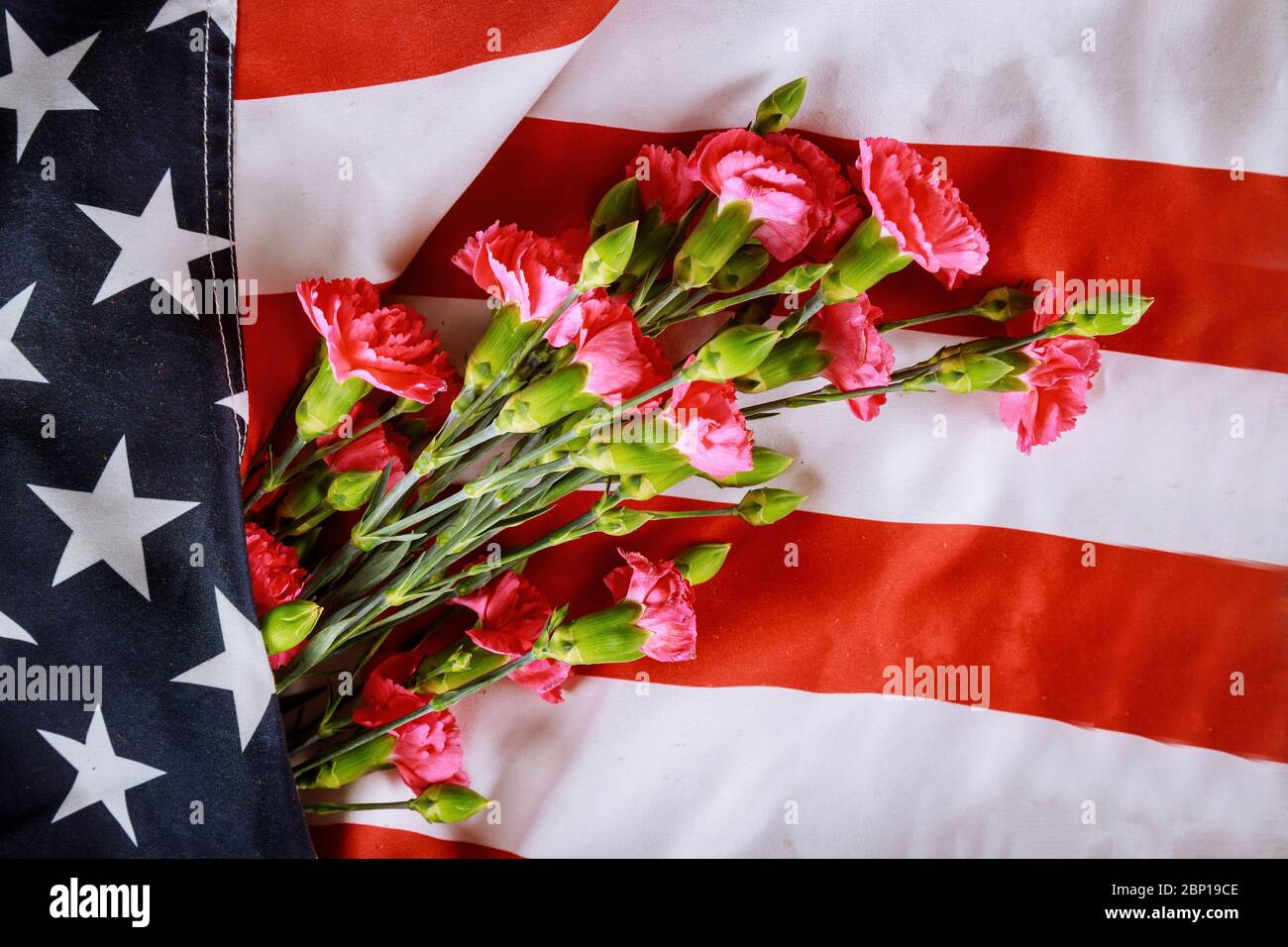 American Celebration Memorial day, carnation flowers on american flag ...