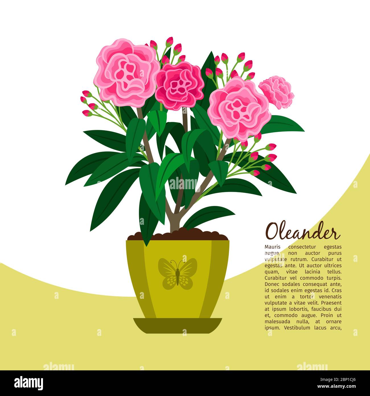 Oleander indoor plant in pot banner template, vector illustration Stock Vector