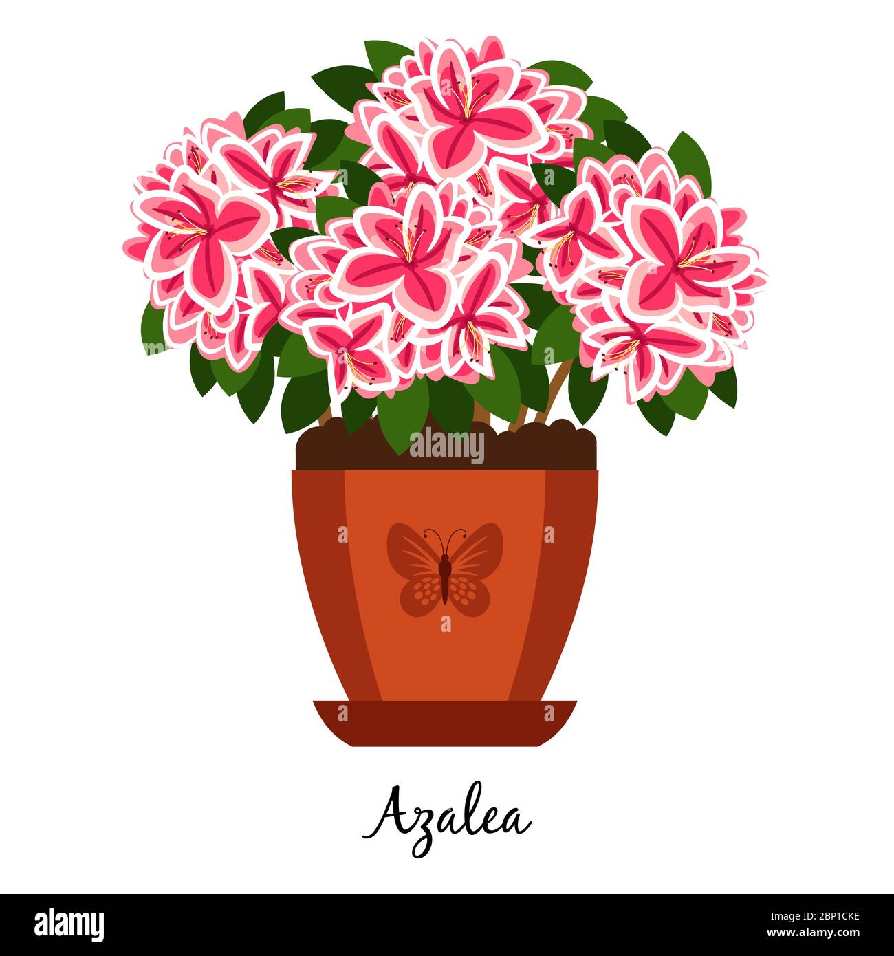 Azalea plant in pot isolated on the white background, vector illustration Stock Vector