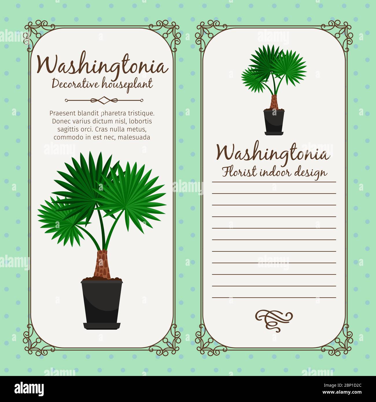 Vintage label template with decorative washingtonia plant in pot, vector illustration Stock Vector