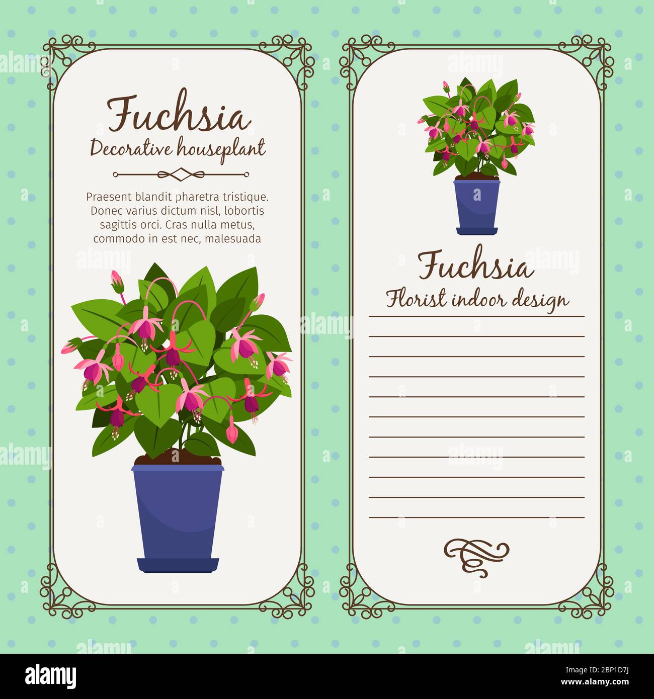 Vintage label template with potted flower fuchsia, vector illustration Stock Vector