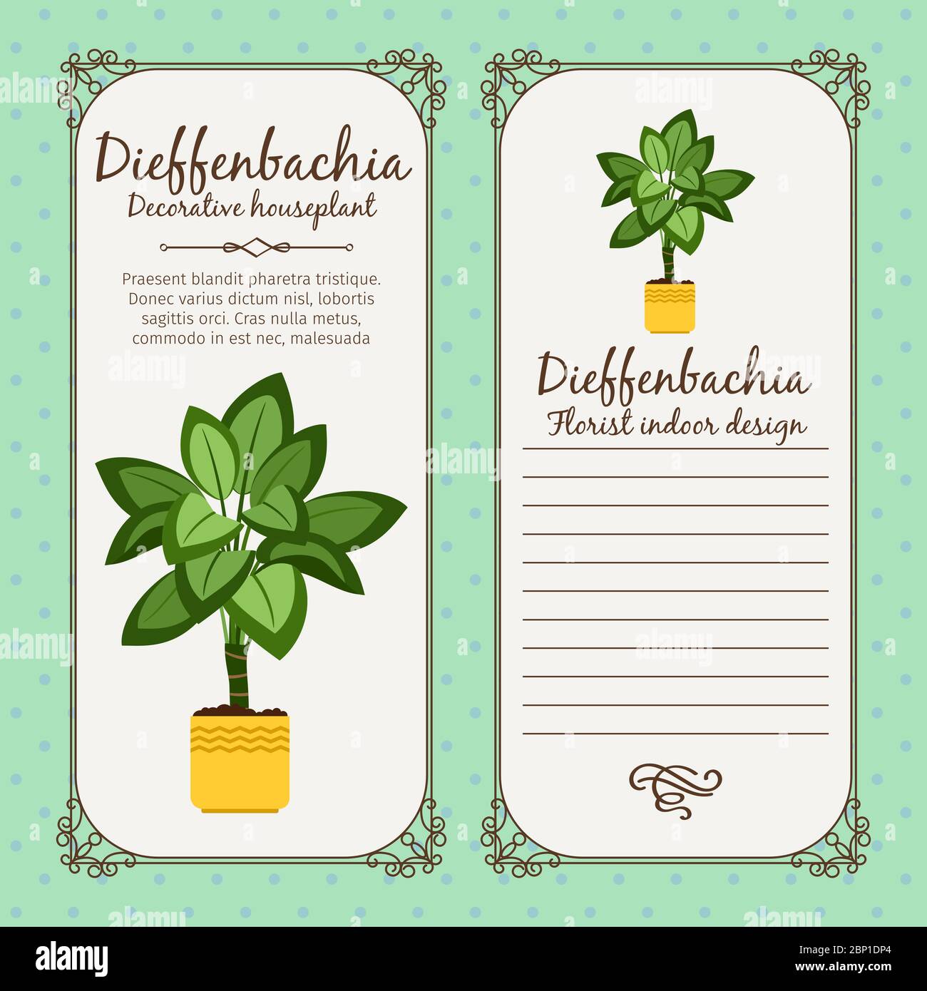 Vintage label template with decorative dieffenbachia plant in pot