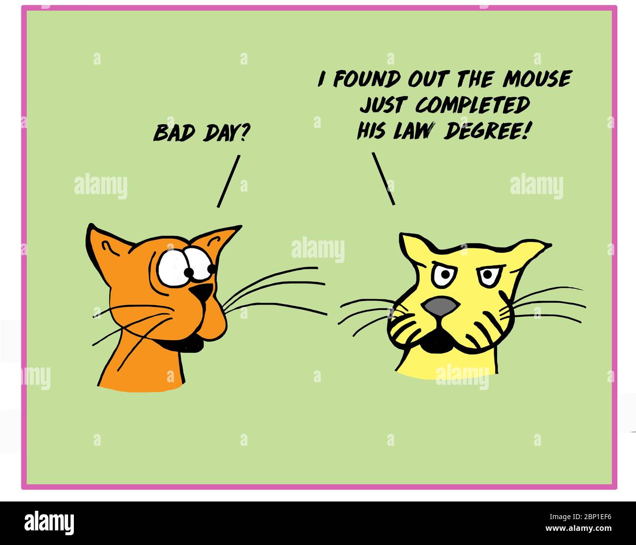 Color cartoon of two cats talking and astonished because the mouse just received a law degree. Stock Photo