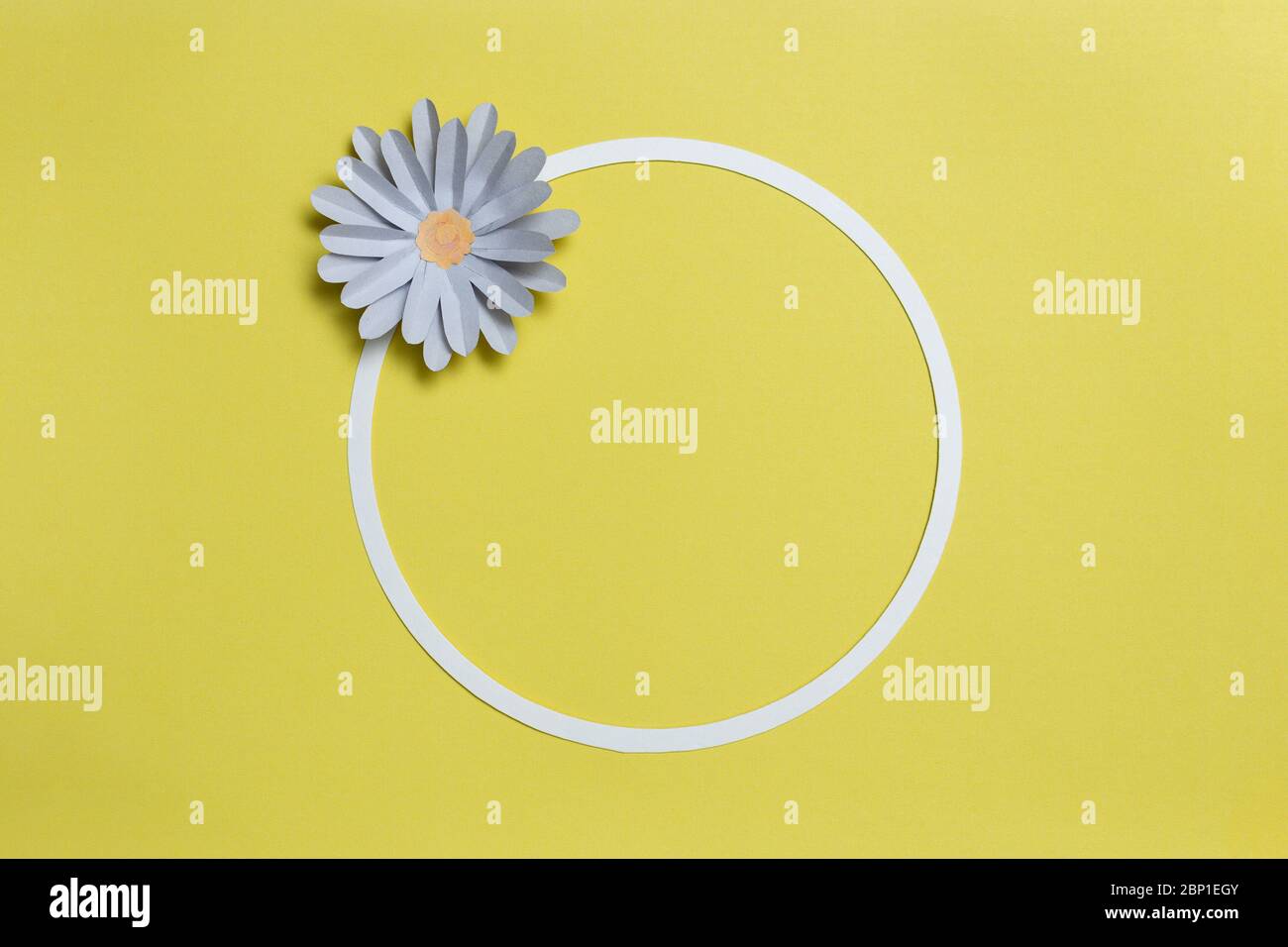 Flat lay of round card frame, color paper flowers design on pastel yellow background. Copy space, floral art Stock Photo