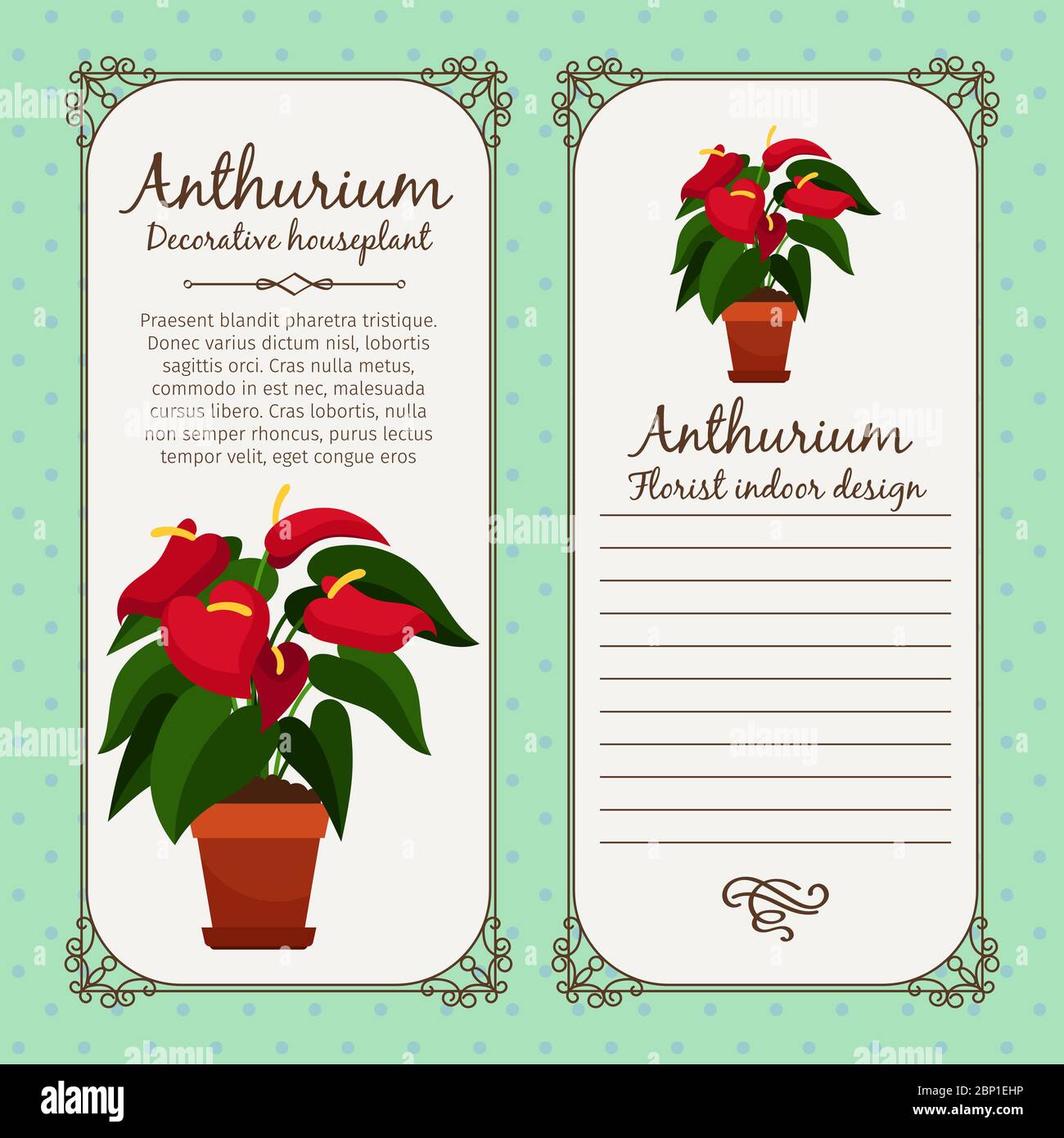 Vintage label template with decorative anthurium plant in pot, vector illustration Stock Vector