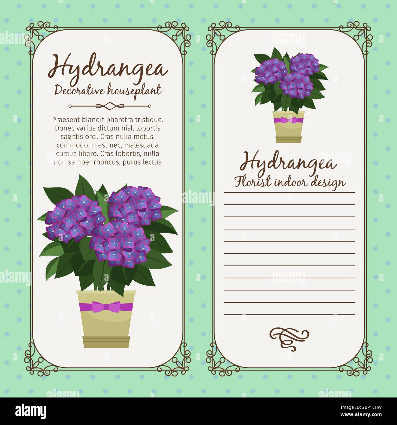 Vintage label template with decorative hydrangea plant in pot, vector