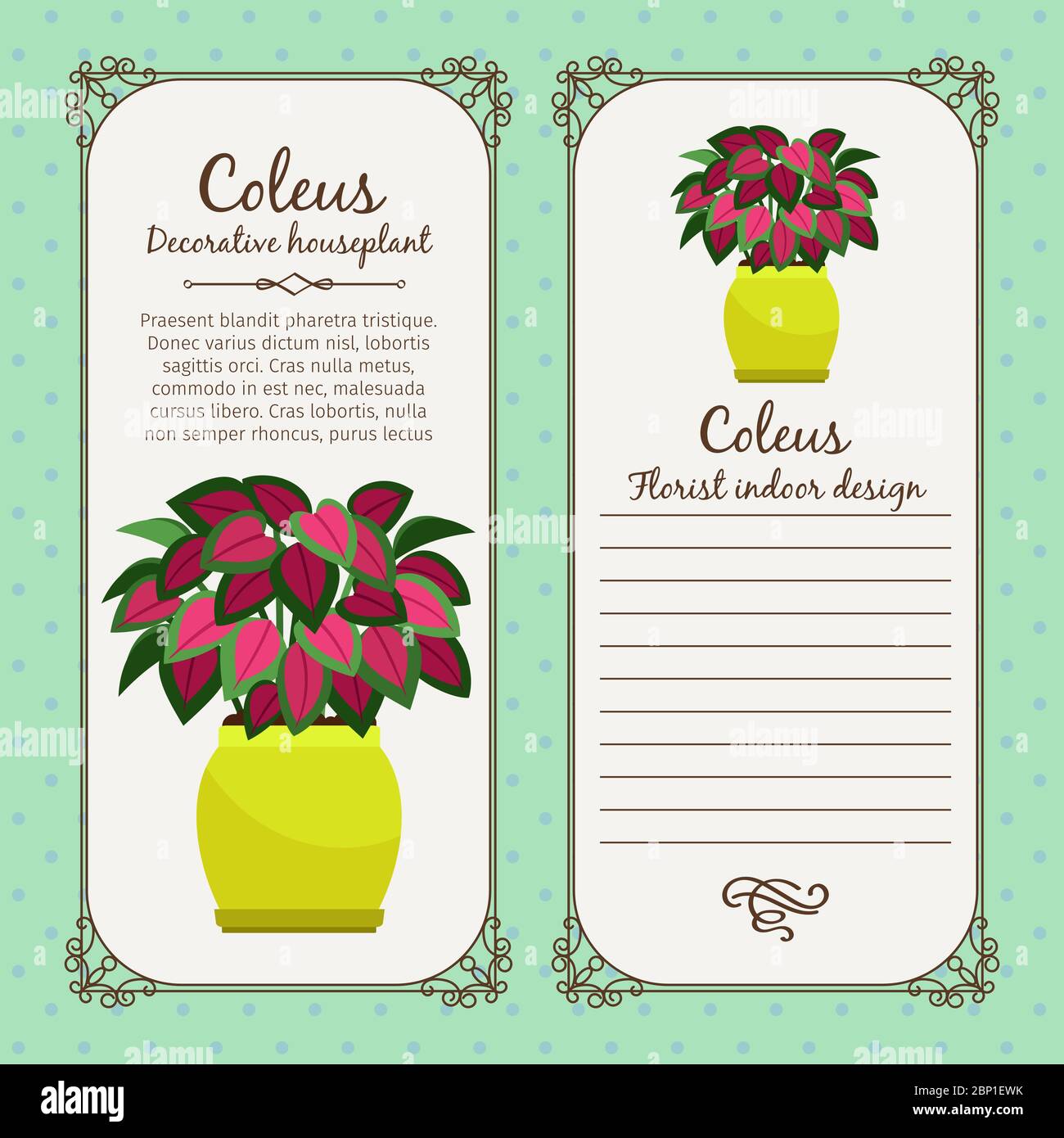 Vintage label template with decorative coleus plant in pot, vector illustration Stock Vector