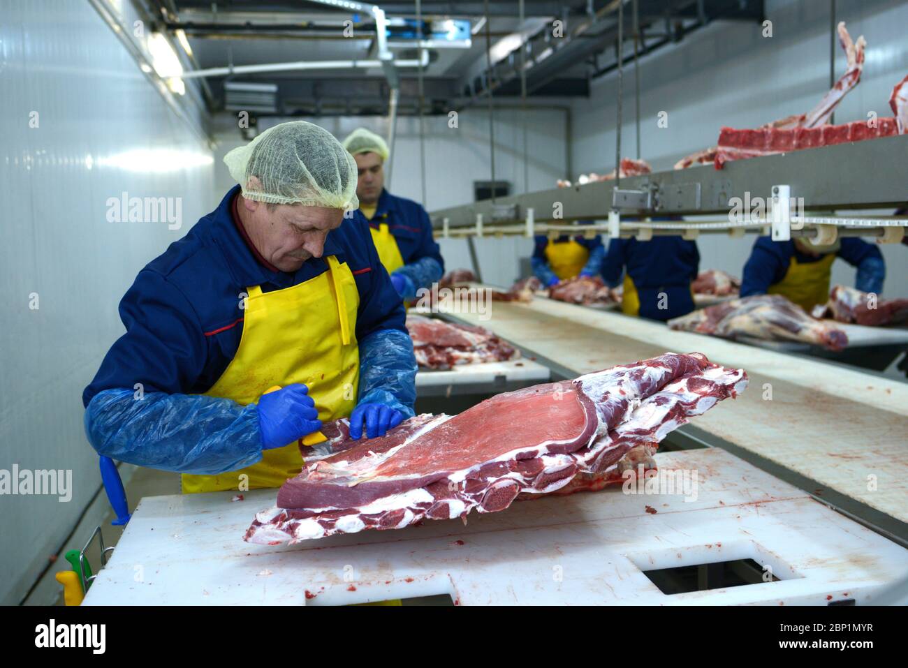 Male workers cutting pieces of meat with knives at the meat cutting ...