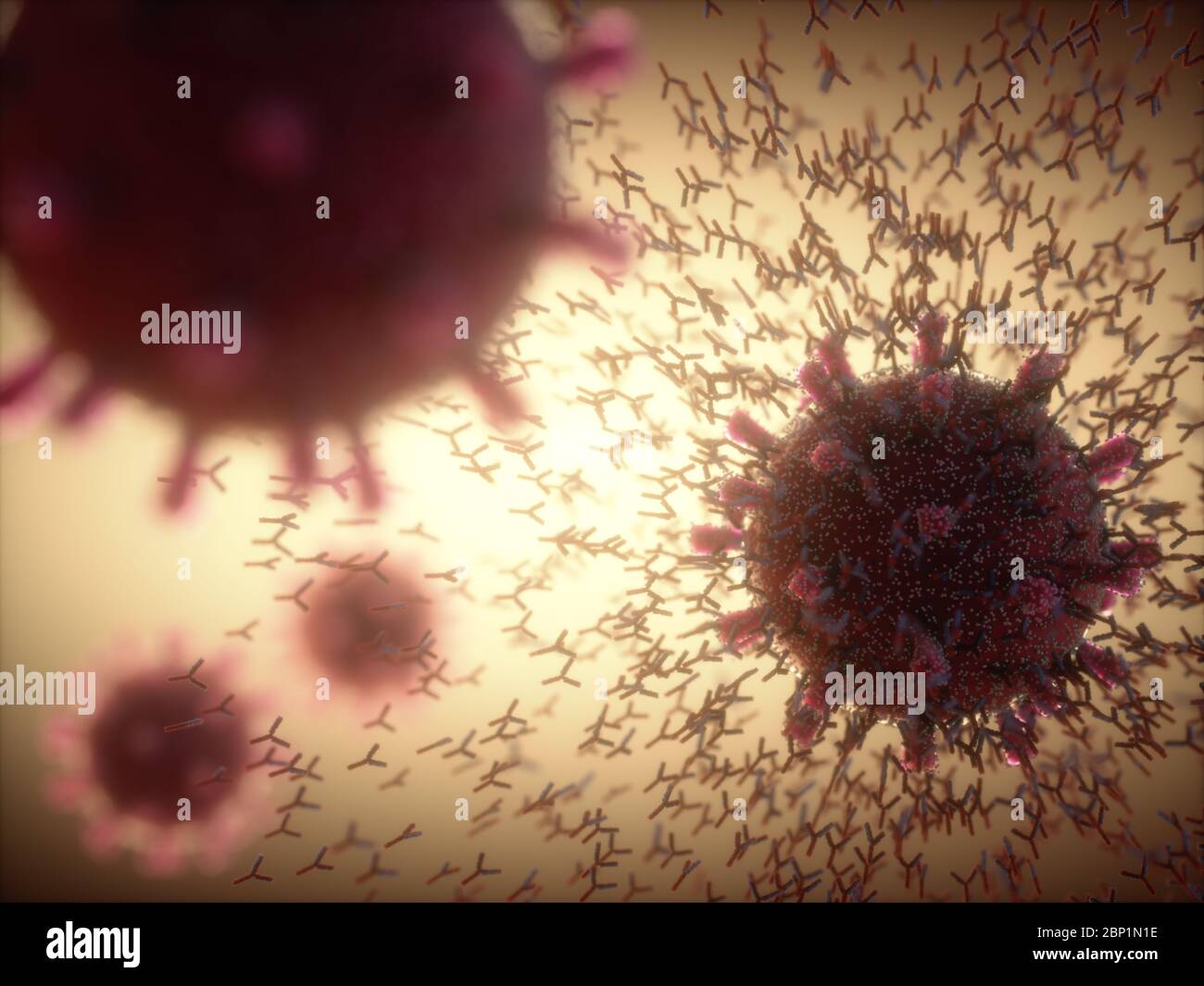 Immunological system, antibodies attacking the virus covid-19. 3D illustration, concept of the body's defense system. Y-shaped antibody attacking the Stock Photo