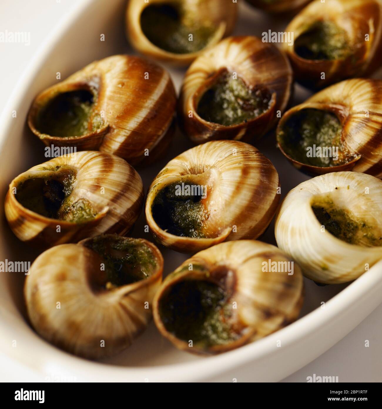 Edible Snails High Resolution Stock Photography and Images Alamy