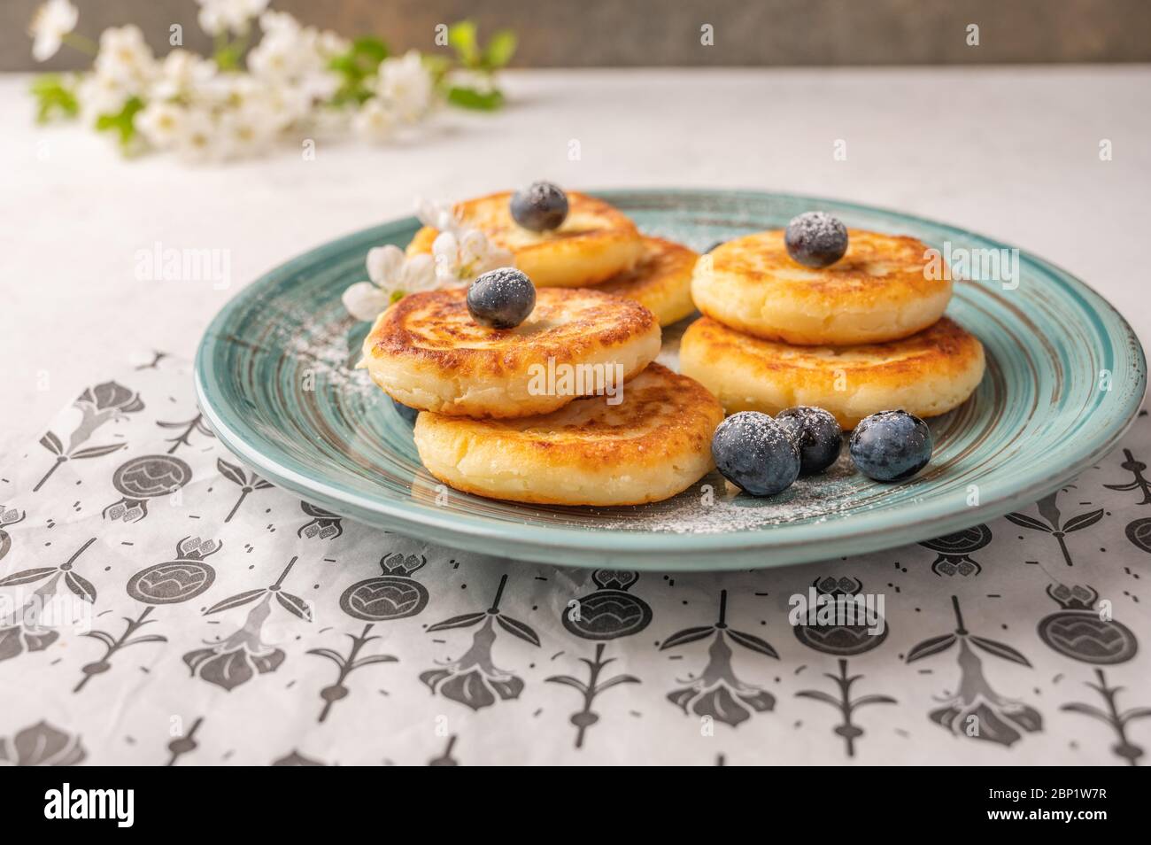 Traditional russian cheesecake with blueberries and powdered sugar on a ceramic plate on a craft paper on a light background. Copy space for text Stock Photo