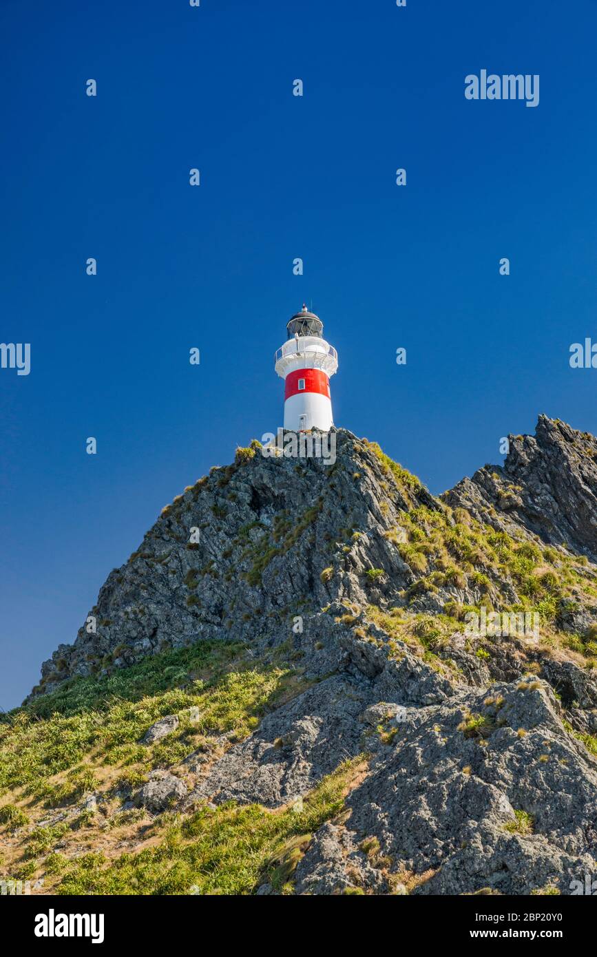 Cape Palliser Lighthouse, South Wairarapa Coast, Wellington Region, North Island, New Zealand Stock Photo