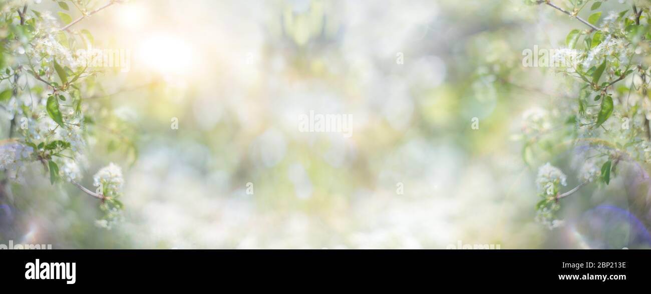 Abstract summer background. Flowers, leaves and sun flare. Stock Photo