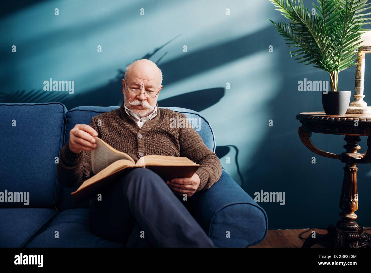 Cheerful elderly man in glasses reading a book Stock Photo