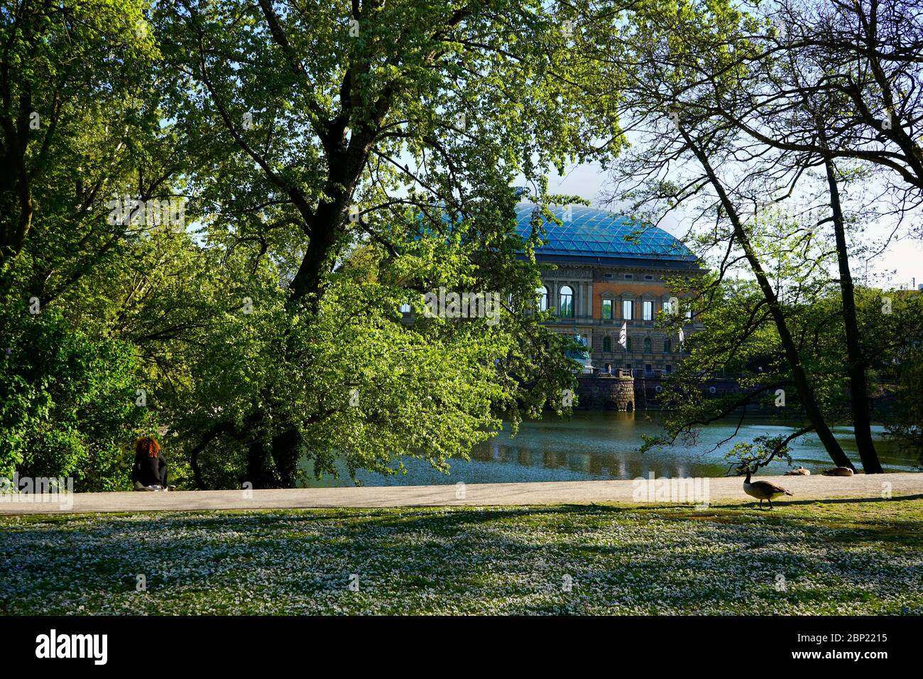 Romantic Spring scenery in the public park 'Ständehauspark' with an ancient building ('Ständehaus') in the background that was built from 1876 - 1880. Stock Photo