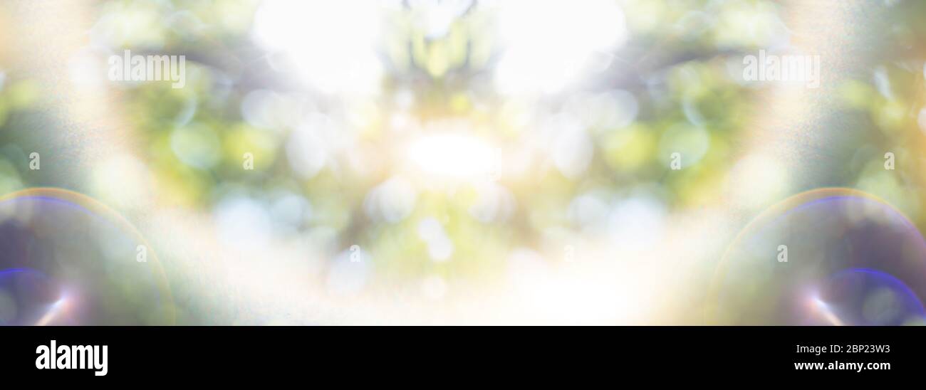 Abstract summer background. Flowers, leaves and sun flare. Stock Photo