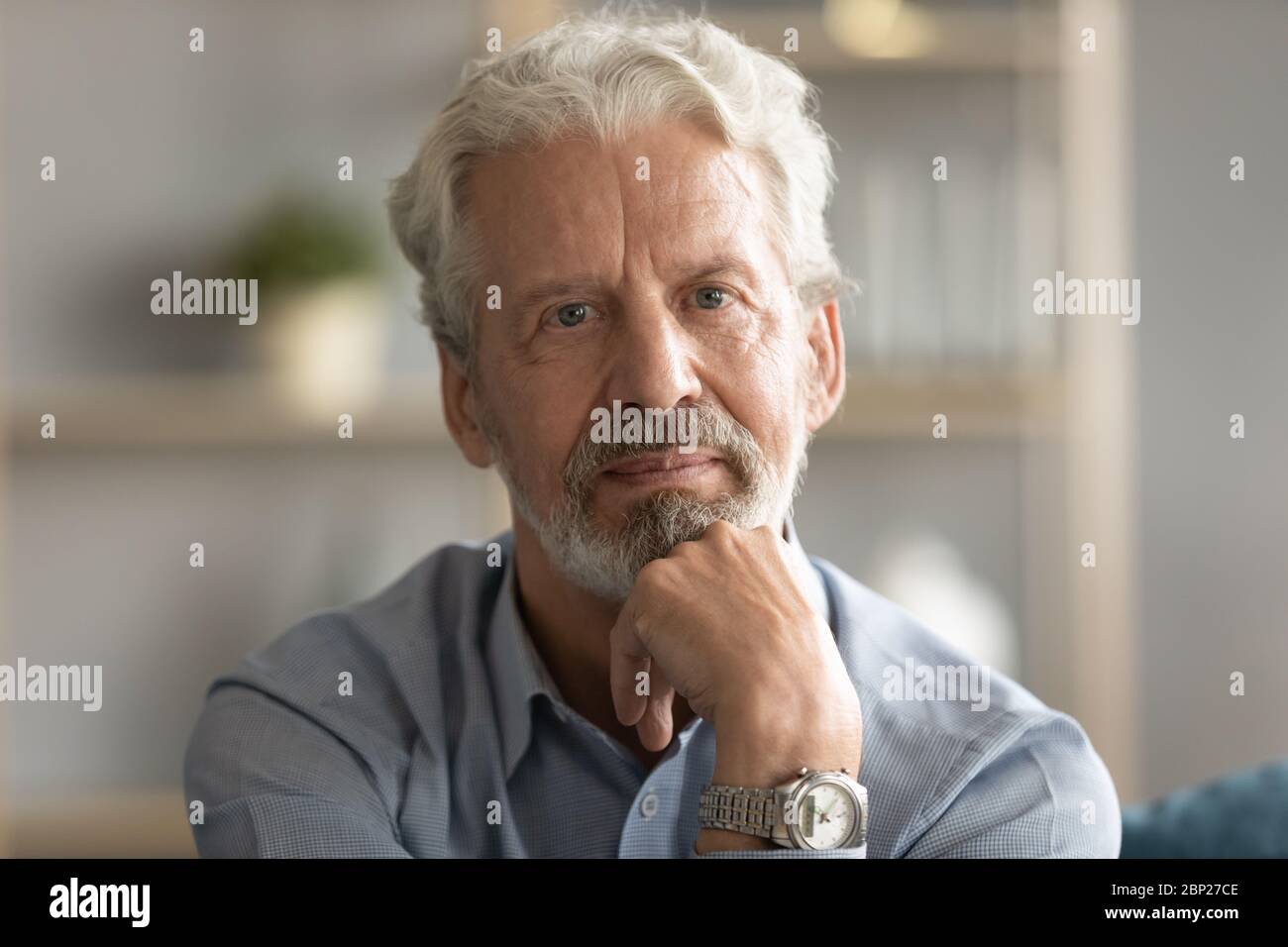 Portrait of thoughtful pondering middle aged hoary man touching chin. Stock Photo