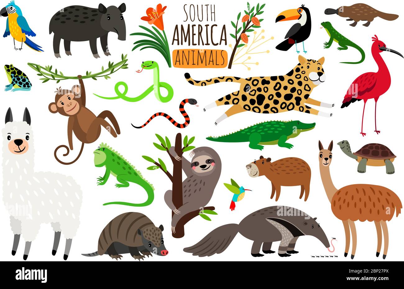 South America animals. Vector cartoon guanaco and iguana, anteater and ocelot, tapir and armadillo isolated on white background Stock Vector