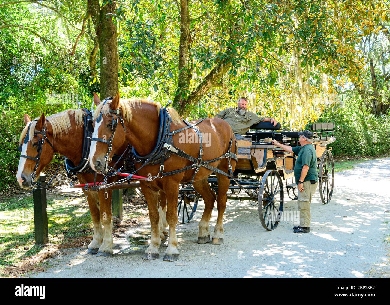 plantation carriage tours