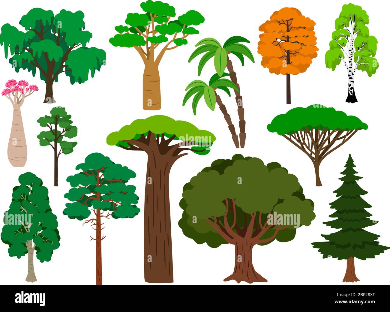 cartoon trees high resolution stock photography and images alamy https www alamy com cartoon trees vector green tree set brachychiton and rowan palm and willow maple and poplar forest plants isolated on white background image357780720 html