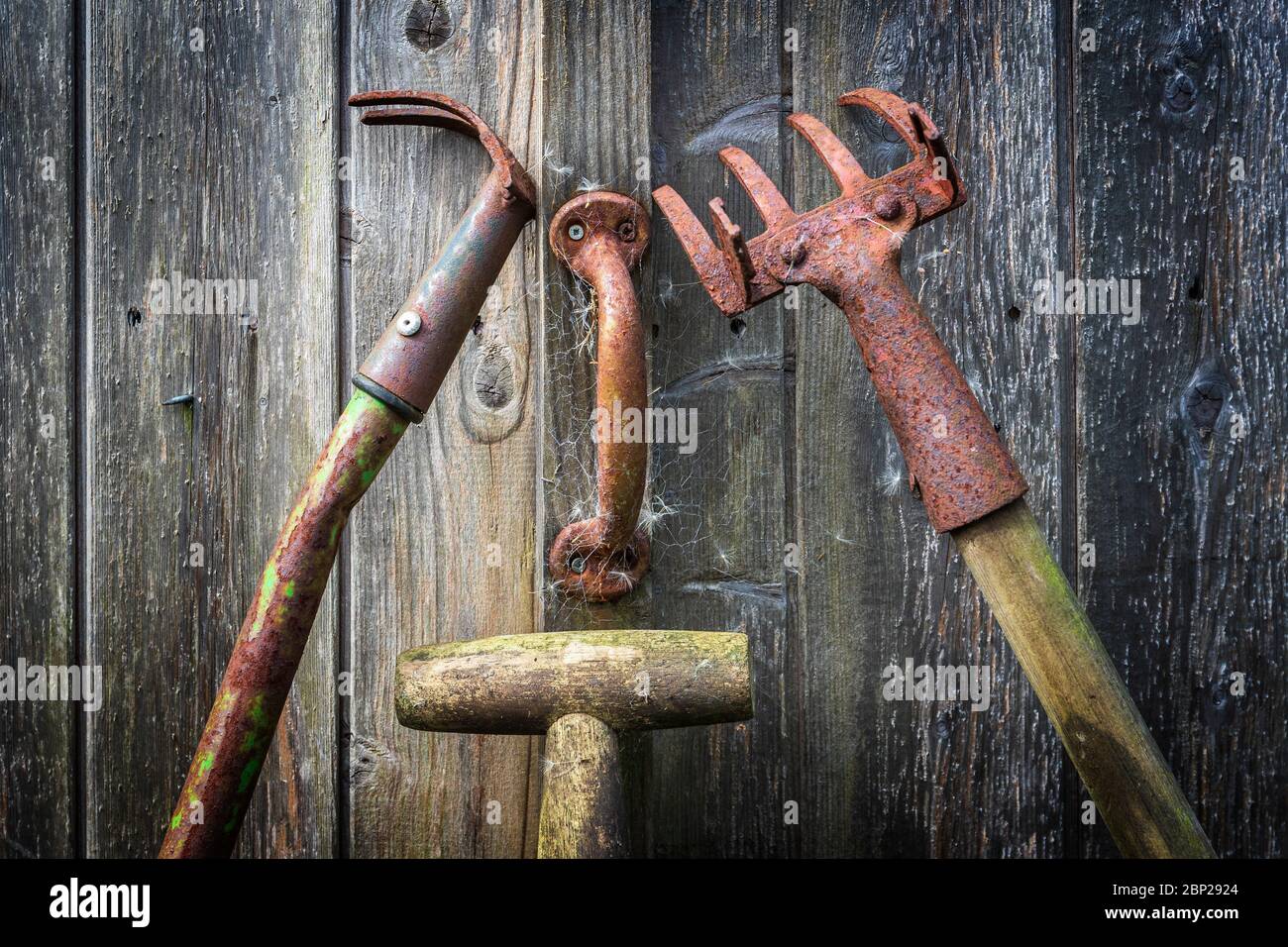 Old and rusting gardening tools lying against a wooden shed with a rusty door handle, Ayrshire, UK Stock Photo