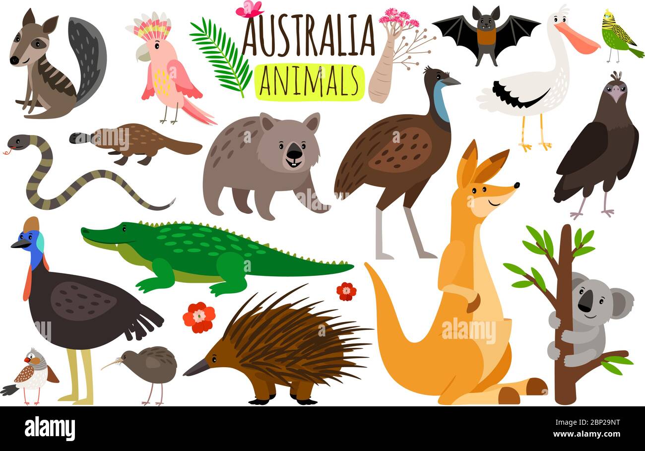 Australian animals. Vector animal icons of Australia, kangaroo and koala, wombat and ostrich emu, platypus and echidna in cartoon style isolated on white background Stock Vector