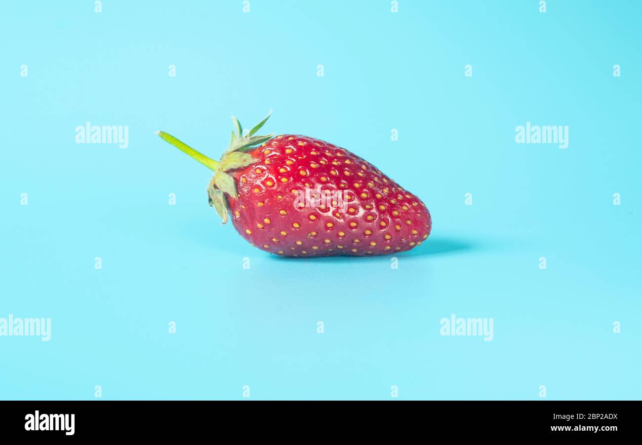 Single , fresh, red strawberry on light blue background Stock Photo - Alamy