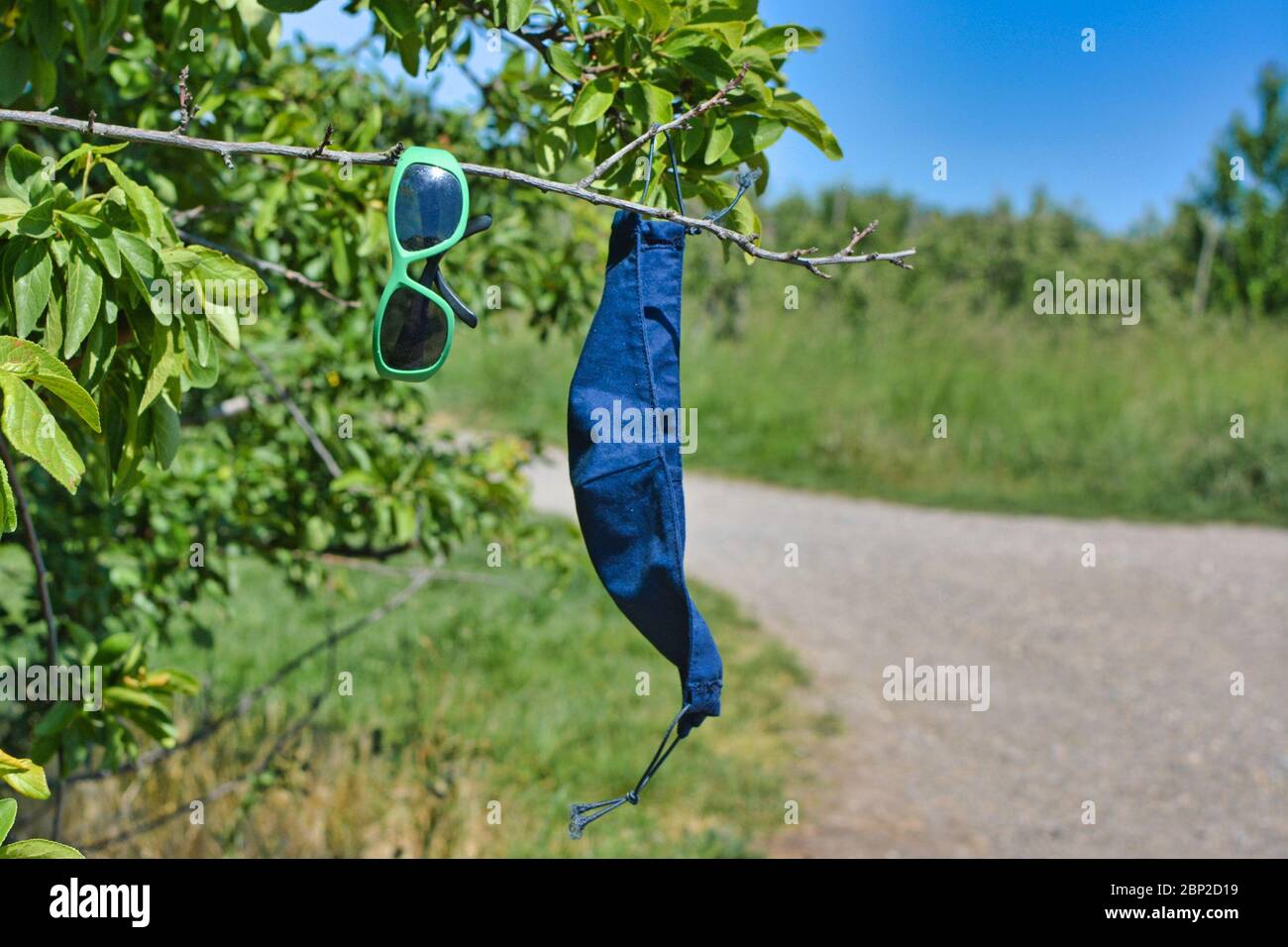 Abandoned protective face mask and sunglasses hanging in tree Stock Photo