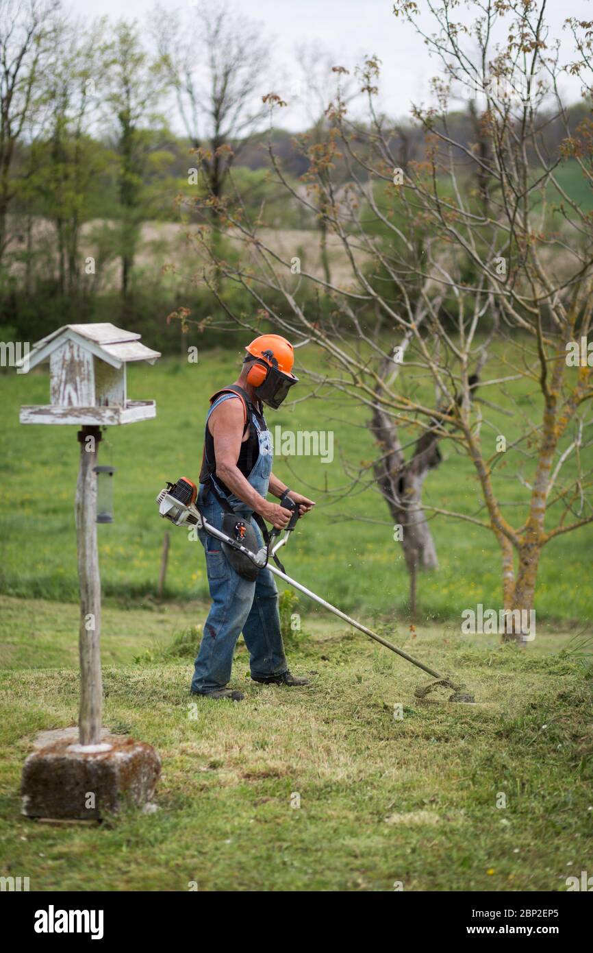 Landscaper using a thermal brush cutter. Stock Photo